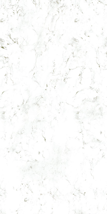 Wetwall Alloy Roman Marble 2440x1200mm Shower Panel