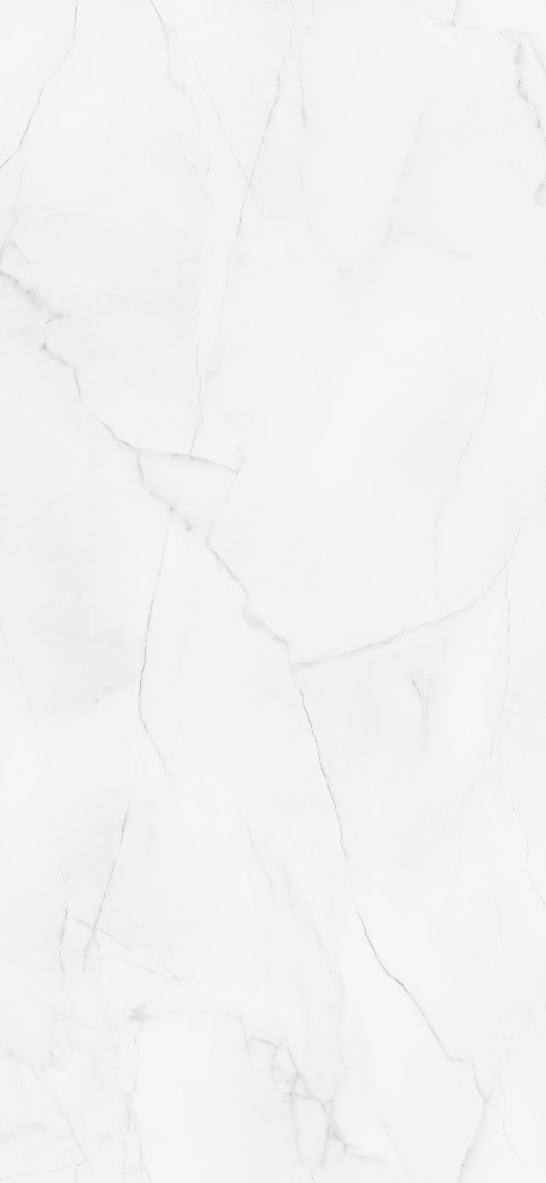 Modern Marble -  2420 x 1200mm Waterproof Tongue and Groove Wall Panelling (EL-ATHM-1200-TG)